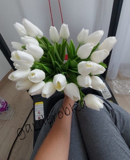 Uab5d7a8ecc26434984880c2c9be795fbx.jpg