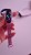 A3f4233984fee43c4be66a1c373bc6d505.jpg