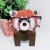 ivn93D-Kawaii-zwierz-cy-stojak-na-okulary-s-odkie-rze-by-z-kresk-wek-okulary-na.jpg