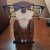 PTpq3D-Kawaii-zwierz-cy-stojak-na-okulary-s-odkie-rze-by-z-kresk-wek-okulary-na.jpg