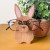 sxOU3D-Kawaii-zwierz-cy-stojak-na-okulary-s-odkie-rze-by-z-kresk-wek-okulary-na.jpg