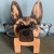 vDo33D-Kawaii-zwierz-cy-stojak-na-okulary-s-odkie-rze-by-z-kresk-wek-okulary-na.jpg