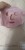 A44a90f8336734f86a5a39edf4e6db0beU.jpg
