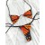 CpZ2Seksowne-stroje-k-pielowe-kobiety-motyl-bikini-z-nadrukiem-str-j-k-pielowy-Triagle-pla-owy.jpg