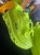 A75f20ac568a74f278ee86a044a283ed9A.jpg