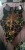 Accbed48eb7324cc1bfb22afbfe710d64y.jpg