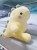 A3dcdd5ffccdc4176a2b32793feb5f3f5T.jpg