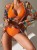 YN77Sb87553ae460f4696bad9a5d3ba6a1f0bY.jpg