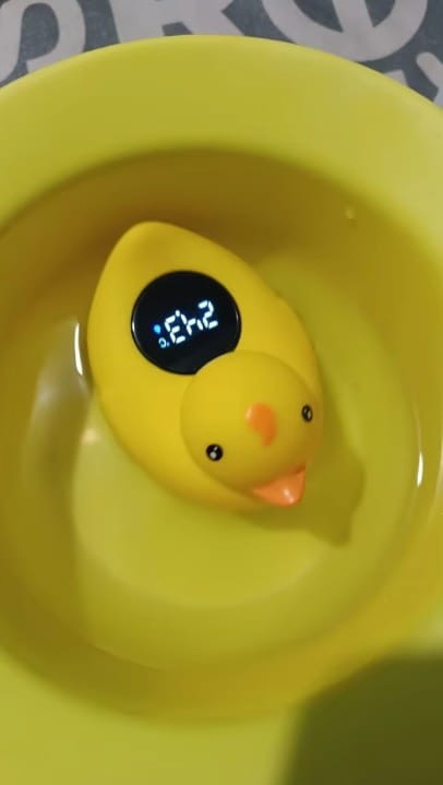 3578.jpg