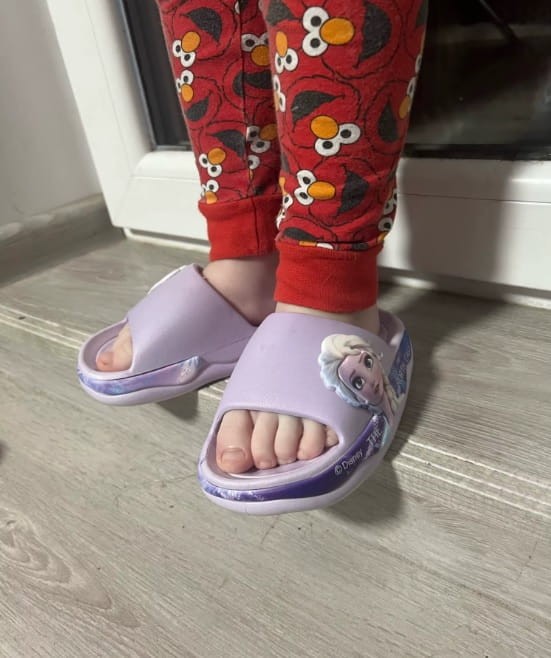 2456.jpg