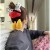 main-image-4.jpeg
