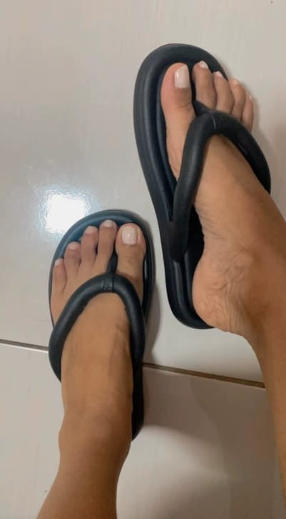 243.jpg
