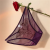 Se6e27730f7e1476a9604a3127b7c0621i.png
