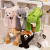 S0f888a9f5ddf4372ba17b4b2677ec548s.png
